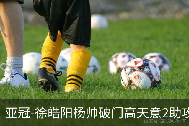 亚冠-徐皓阳杨帅破门高天意2助攻 申花2-1淡滨尼流浪者